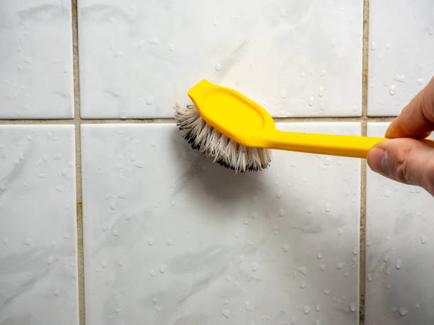 Best Toxic Mold Removal  in Lake Lifornia, CA