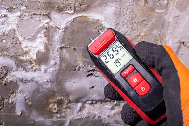 Best Crawl Space Mold Removal  in Lake Lifornia, CA