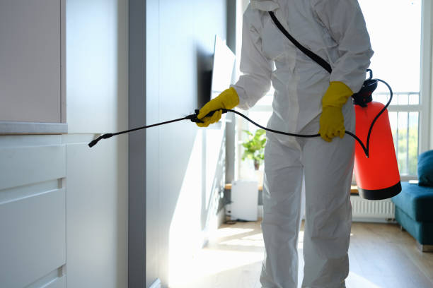 Best Mold Testing and Removal  in Lake Lifornia, CA