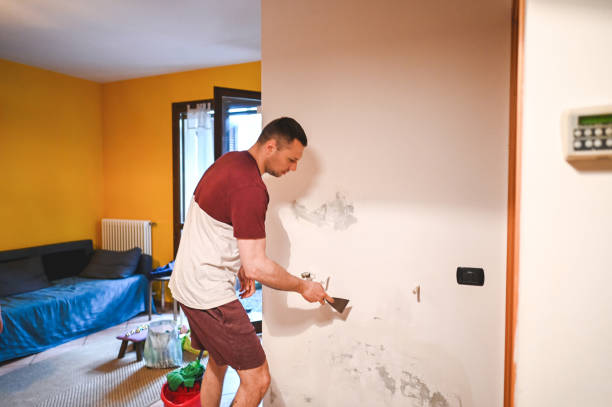 Best Affordable Mold Removal  in Lake Lifornia, CA